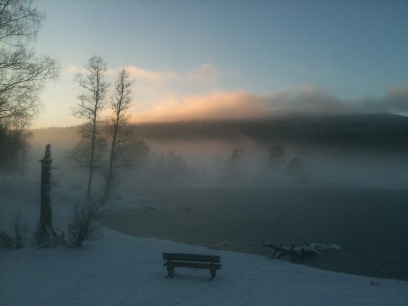 ganske alminnelig juleskam