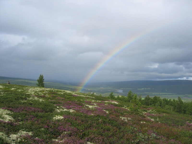 Regnbue over Rørosvidda